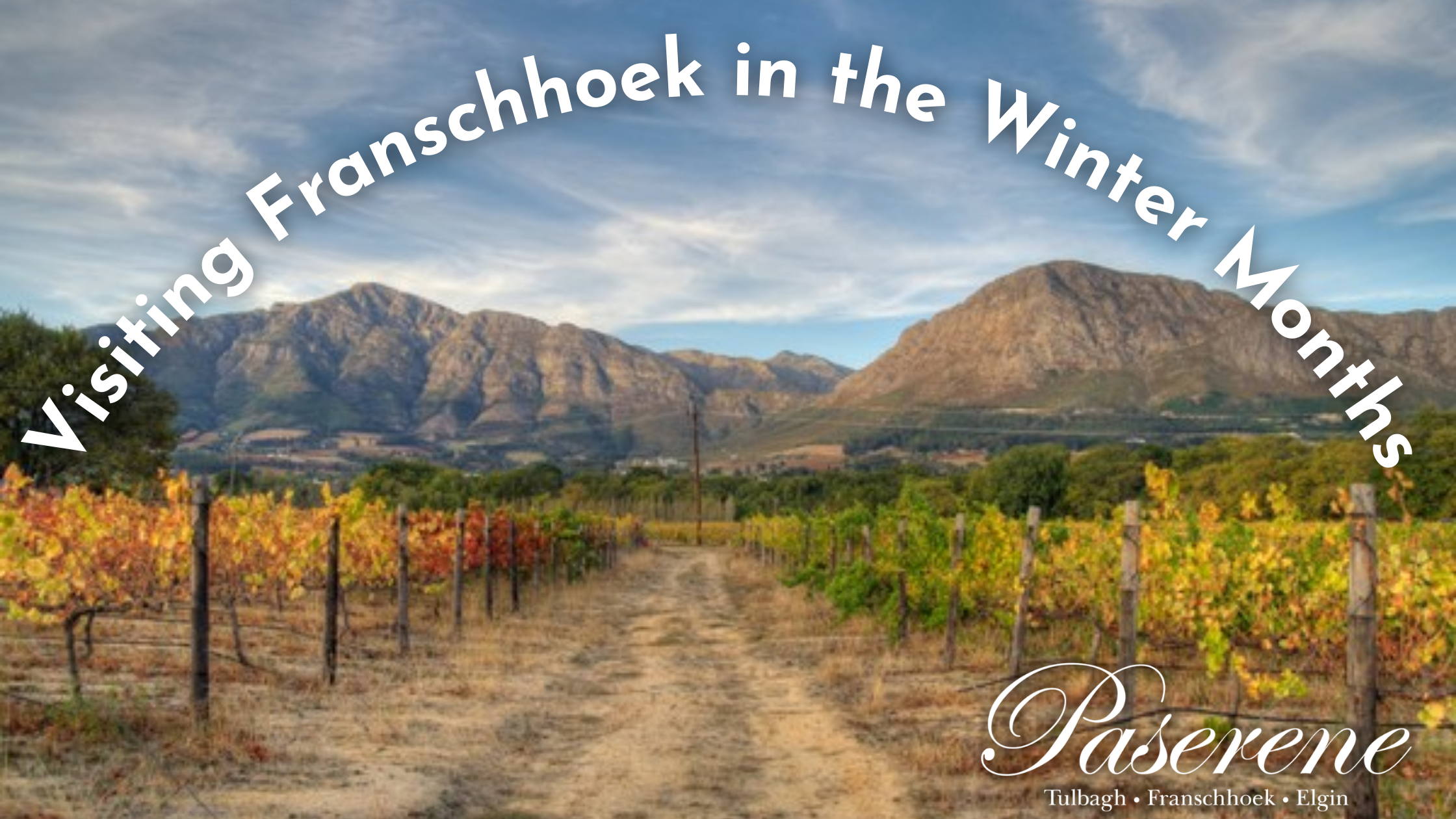 Visiting Franschhoek in the Winter Months, view of vineyards