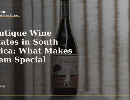 Boutique Wine Estates in South Africa: What Makes Them Special